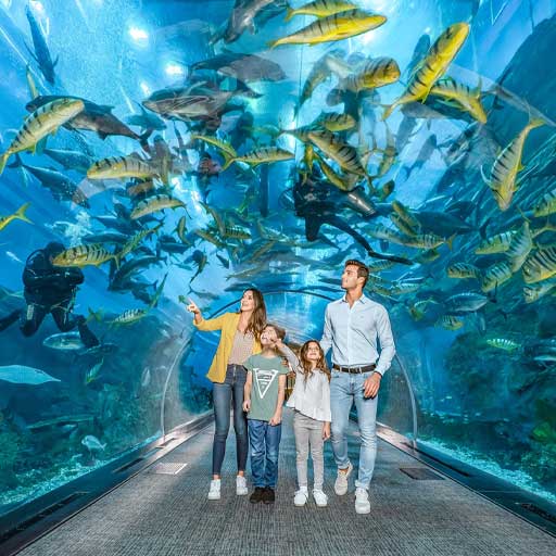 Family Entertainment