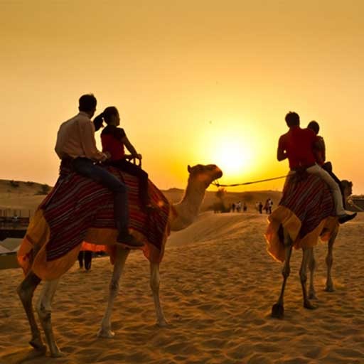 Evening Desert Safari Deals Dubai 